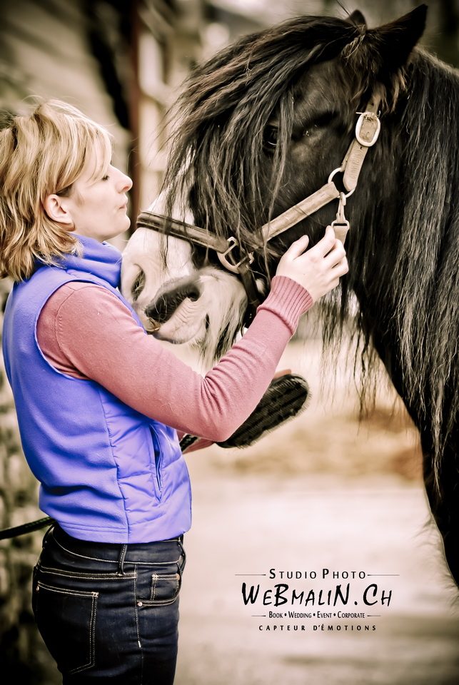 Post - Gandalf Irish Cob - Poney Club Sciez