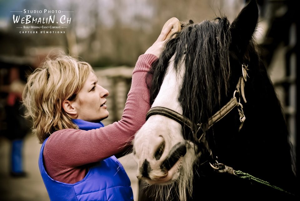 Post - Gandalf Irish Cob - Poney Club Sciez