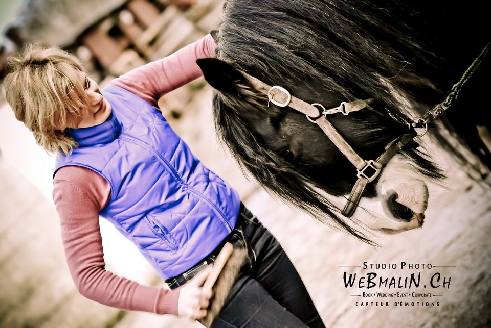 Post - Gandalf Irish Cob - Poney Club Sciez
