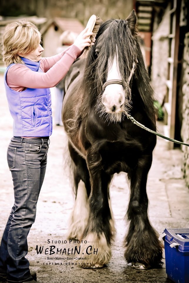 Post - Gandalf Irish Cob - Poney Club Sciez