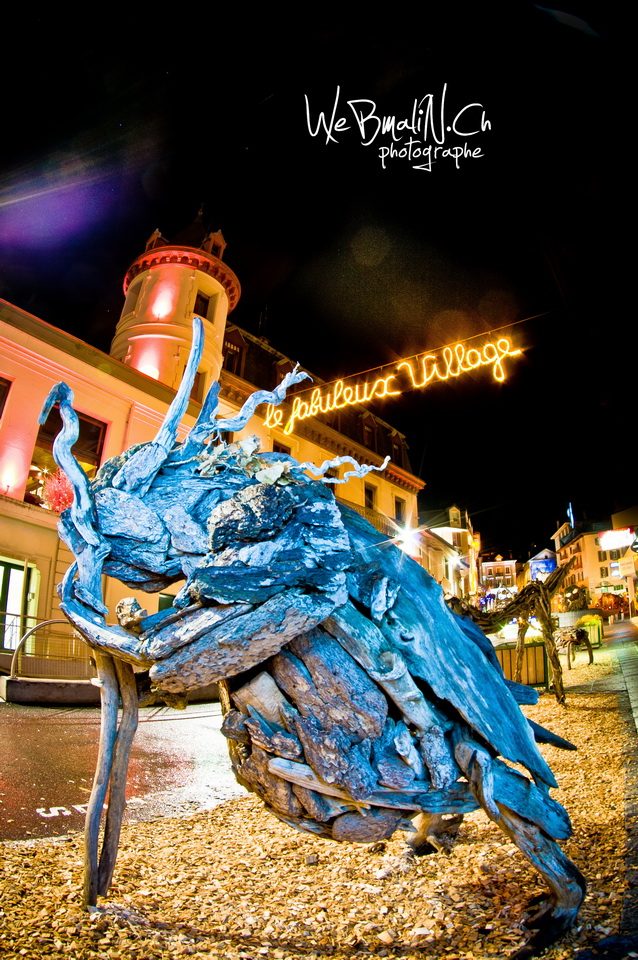Village Flottins Evian